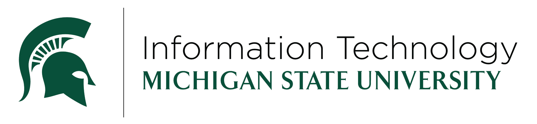 Information Technology, Michigan State University